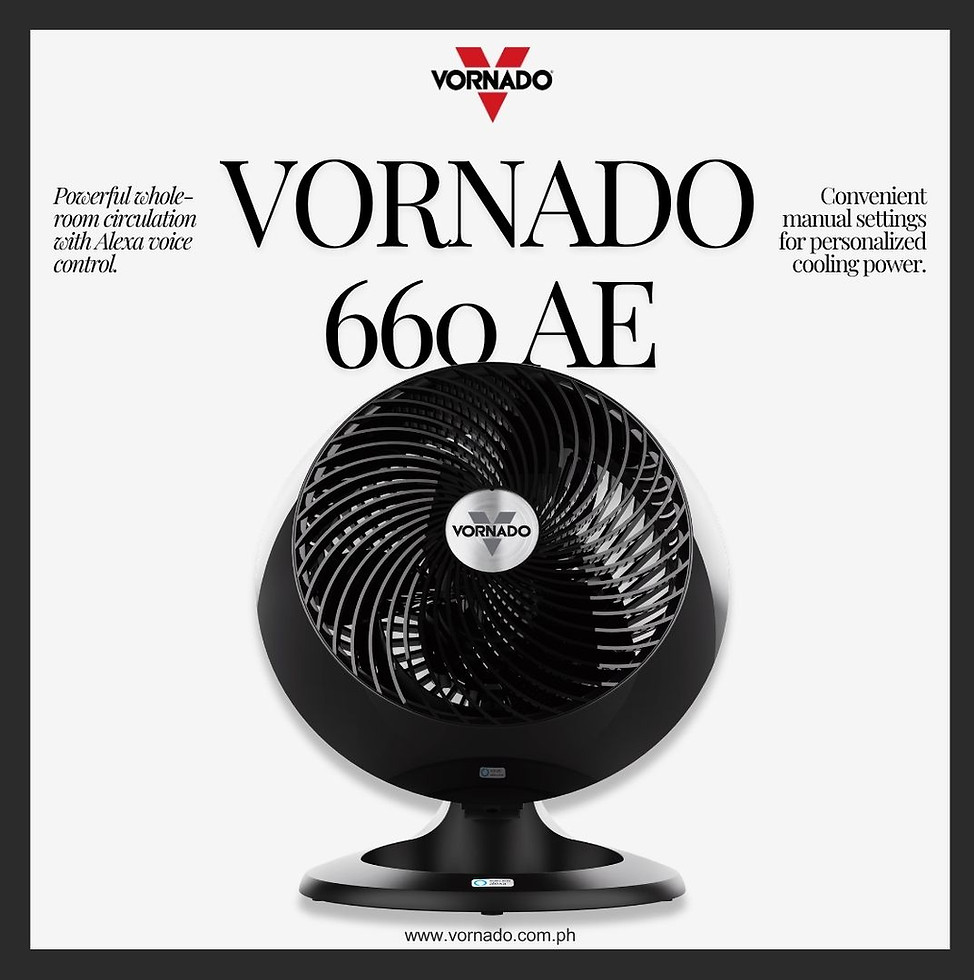 Vornado 660 AE.jpg