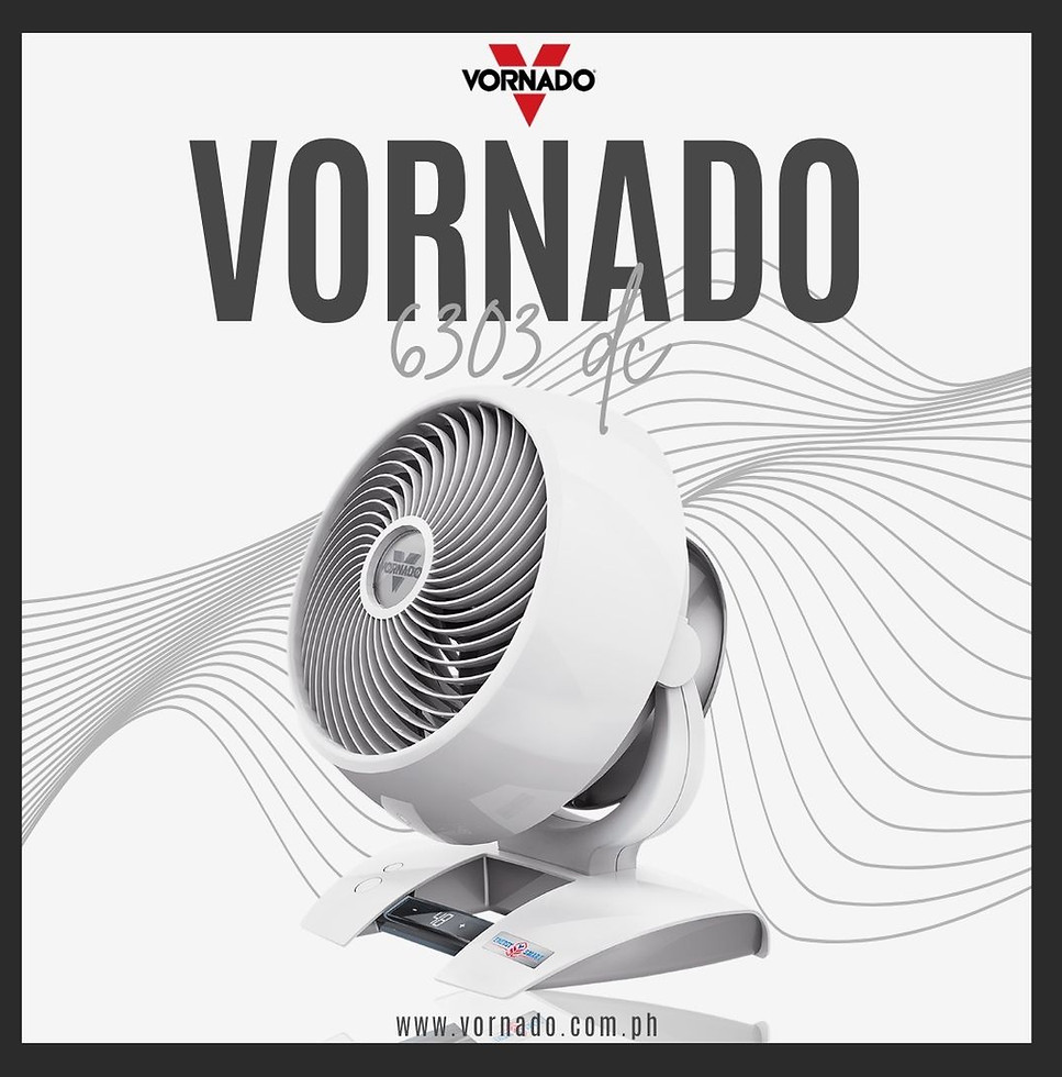 Vornado 6303 DC.jpg