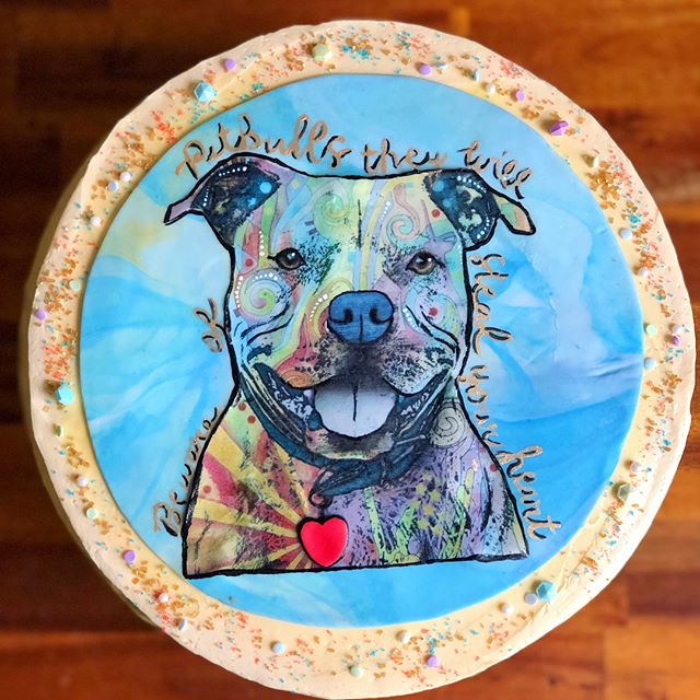 pitbull cake