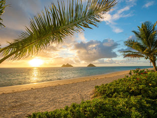 Best Time to Visit Oahu for a Luau: Weather, Prices & Events