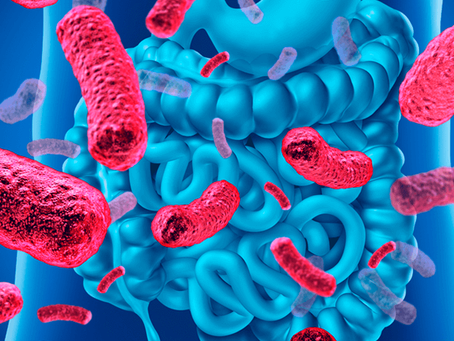 Psicobiótica: Conexão Intestino-Cérebro