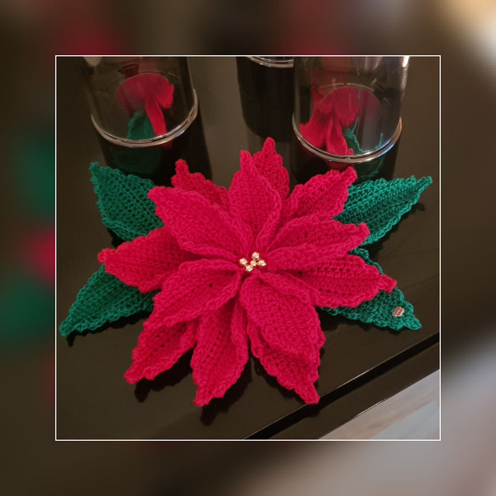 Etoile de Noël