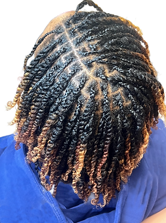 lavishlocs.png