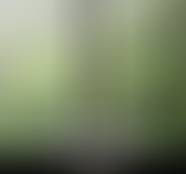 师法自然的城市之光——贵阳