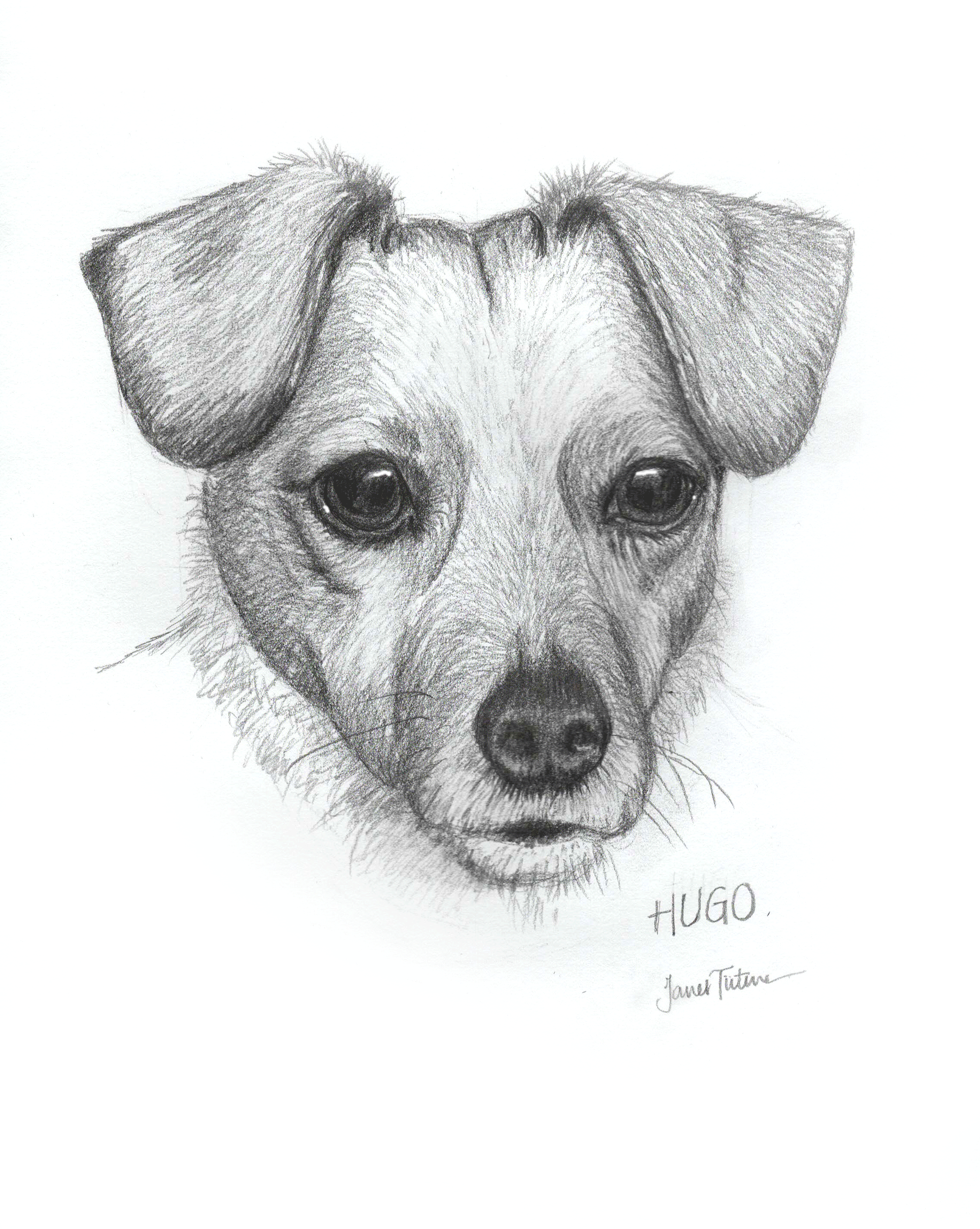 Hugo.gif