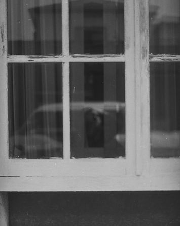 DSC09198-Edit.jpg