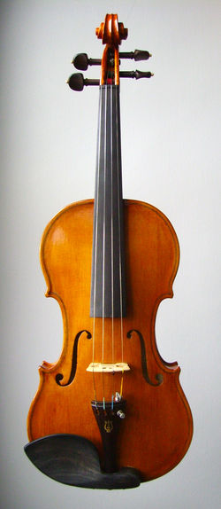 Violín