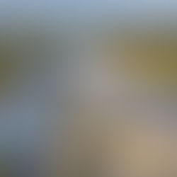 CONTINÚAN OBRAS PARA MEJORAR LA MOVILIDAD EN APODACA: CÉSAR GARZA ARREDONDO