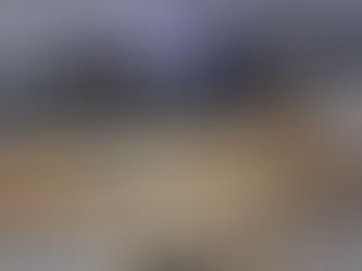 Decomisan arsenal de 210 armas oculto en Nuevo León