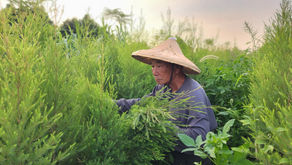 【媒體報導】點點善 用商業模式解決社會問題