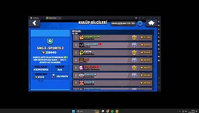 5.png