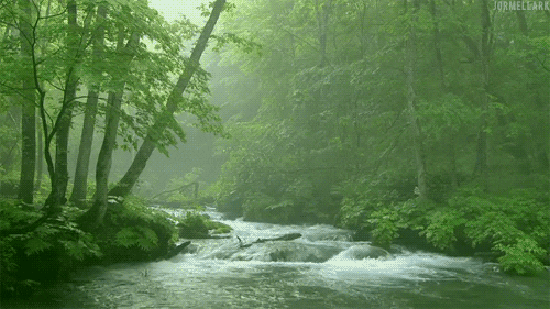 river.gif