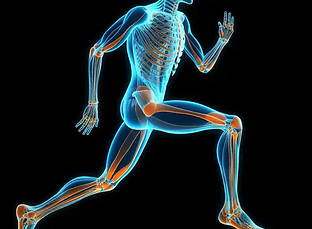 02) FISIOLOGIA DO TREINAMENTO. ..jpg