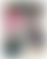 「国民全体で3年間フェルト靴を履けば、この産業は必ず成長する」