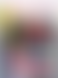 MW Magazine Premium Vol.02