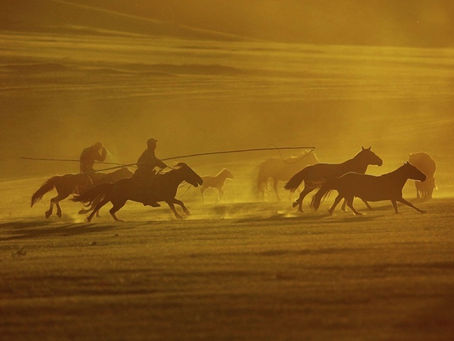 モンゴルの草原で“デジタル遊牧民”急増