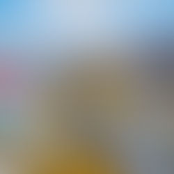 トゥール川高速道路―発展か環境か、あなたはどちらを選ぶ?