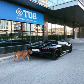 モンゴルにおけるスポーツカービジネス