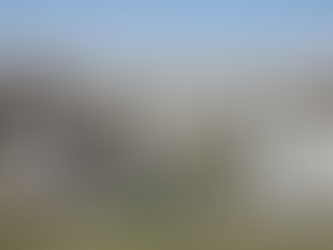 モンゴルビジネスの可能性と現状