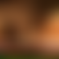 モンゴルの新年に込められた想い