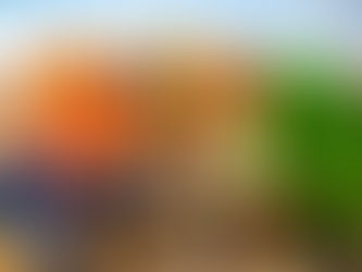 Oyu Tolgoi LLC（オユ・トルゴイ社）が地方自治体と遊牧民と協働し課題に対応