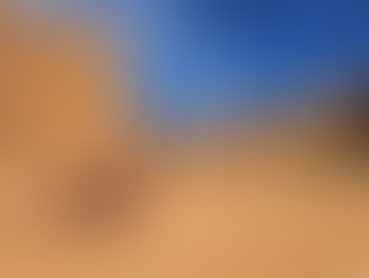 自然の宝庫、ゴビ砂漠でのアドベンチャー