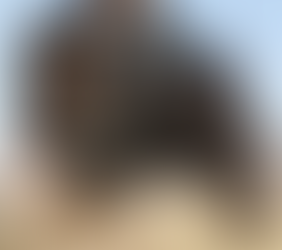 モンゴル犬は自立心が強く、警戒心が高いため、頼りにされる存在として大切