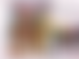 モンゴルウォーカーの実績一覧:過去数年間の活動と成果をご紹介