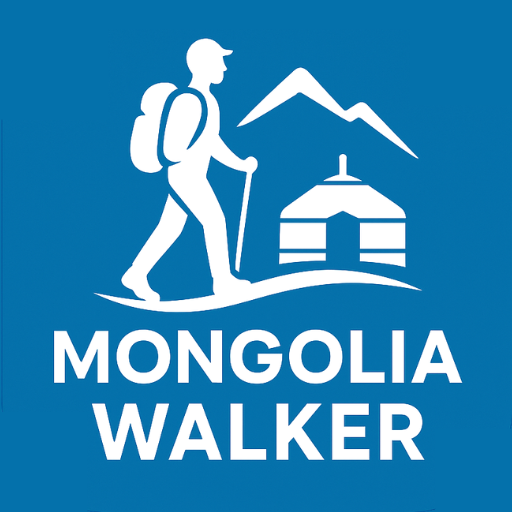 私たちの活動について