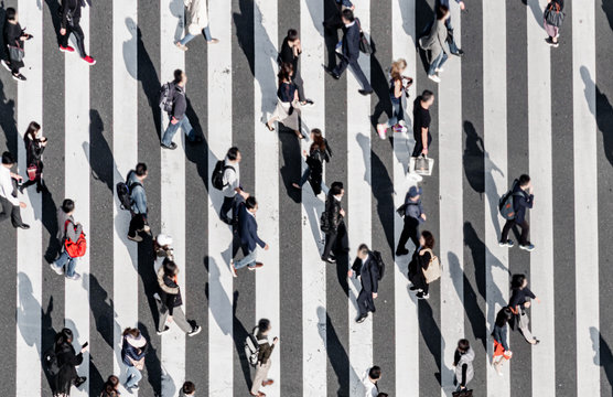 モンゴルで外国人招へい時の責任強化　違反防止は招待者の義務