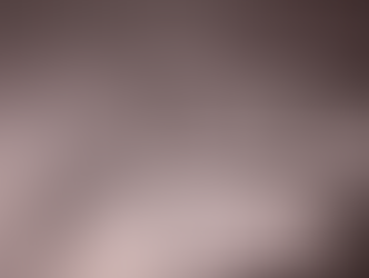 ジャムスランギーン・サムブー 生誕130周年を記念して