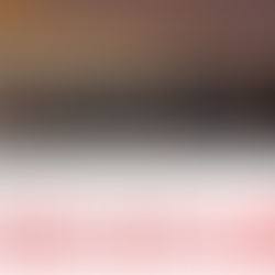 FOODEX JAPAN 2026 モンゴルパビリオン ご案内状