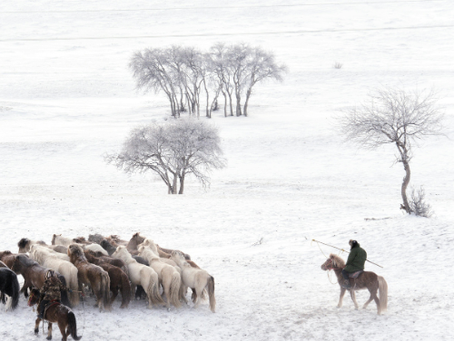 1月21日まで全国的に厳しい寒さ続く、22日以降は徐々に緩和へ
