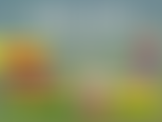 【5月の東京イベント】GW明けたら…遊牧文化祭@東京