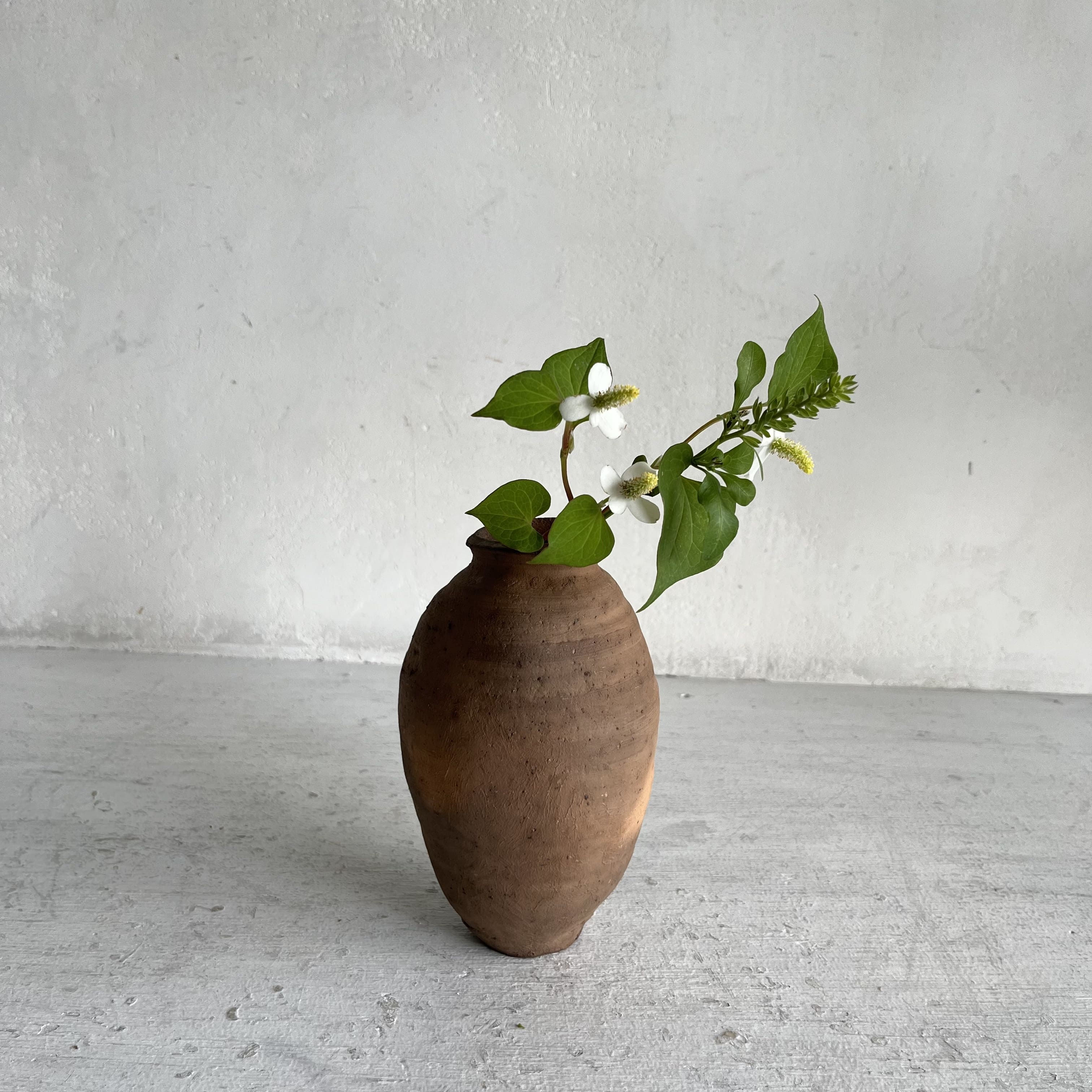 8_熊谷 幸治  土器 / 日本