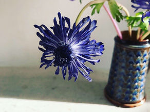 生きるための「日々の花」レッスン