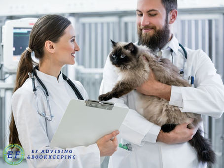 veterinarians discussing their bookkeeping