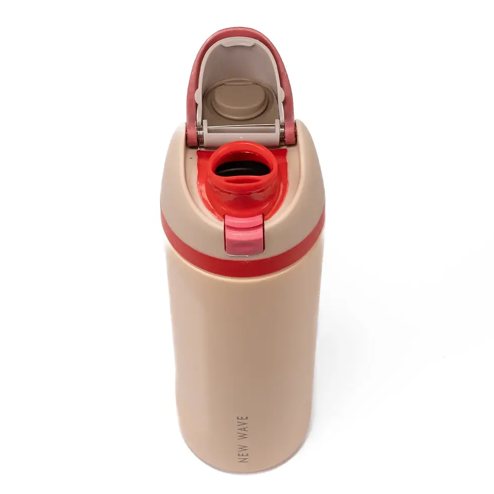 Miniatura: HYBRID WATER BOTTLE BLUSHPINK