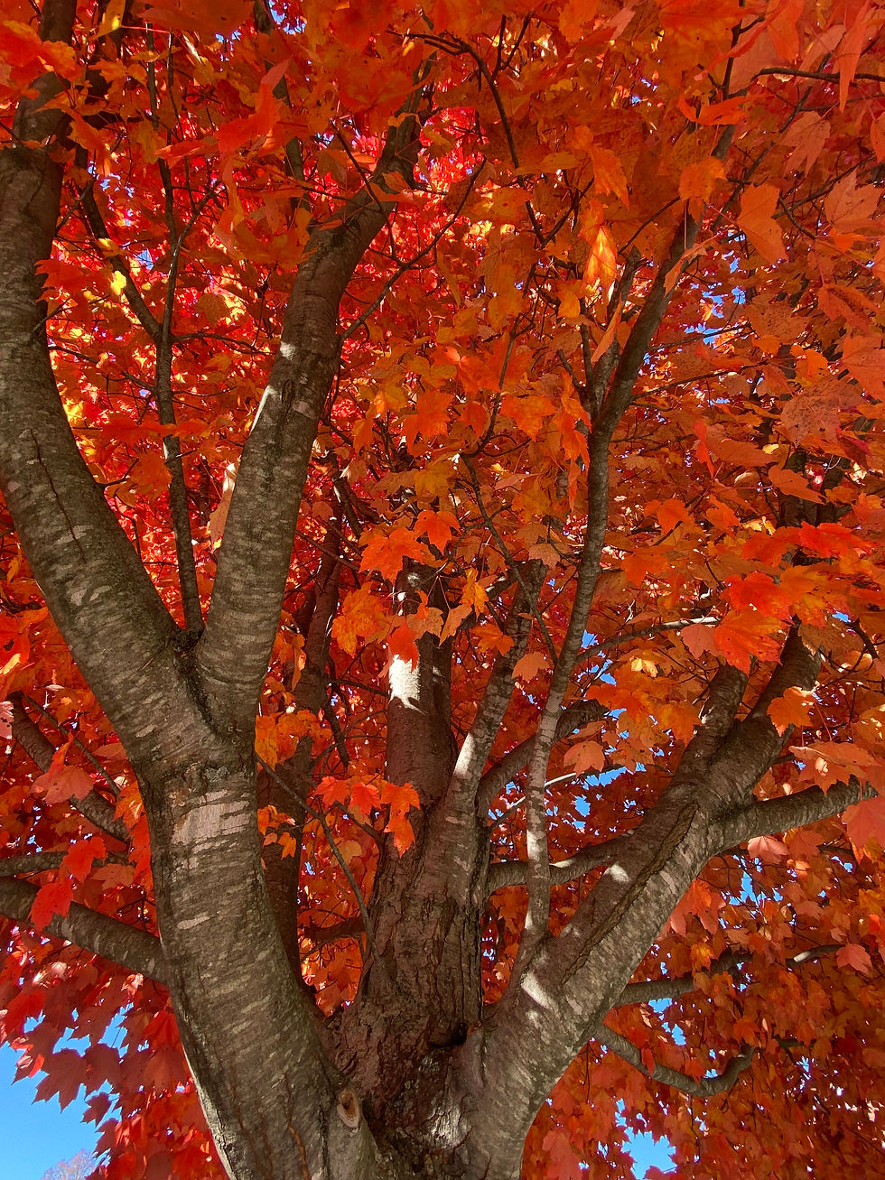 A Daily Devotion for Monday, October 26