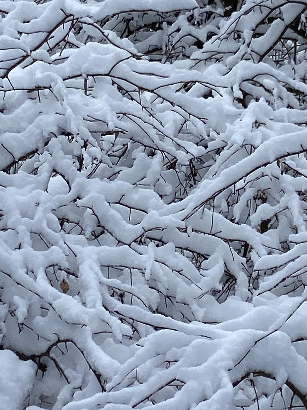 A Daily Devotion for Monday, Feb 23