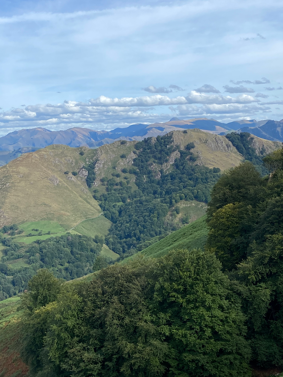 A Daily Devotion for Friday, November 21