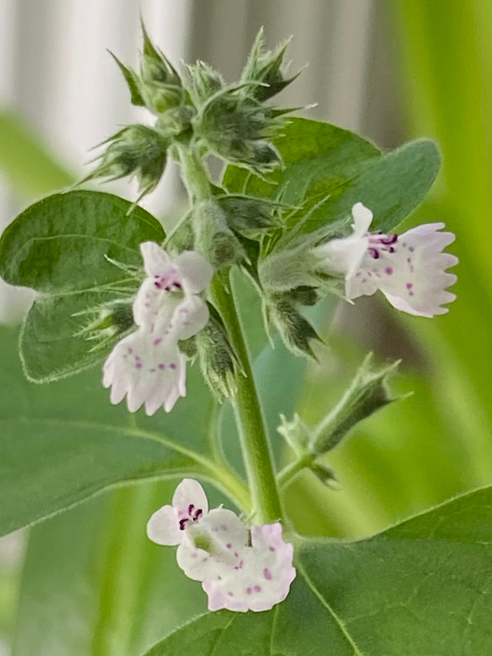 A Daily Devotion for Monday, March 2