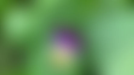 A Daily Devotion for Wednesday, April 15