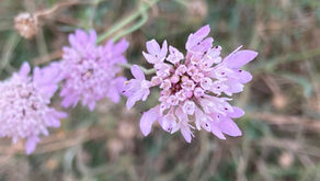 A Daily Devotion for Friday, March 13