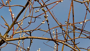 A Daily Devotion for Wednesday, May 6