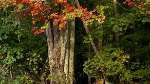 A Daily Devotion for Monday, October 12