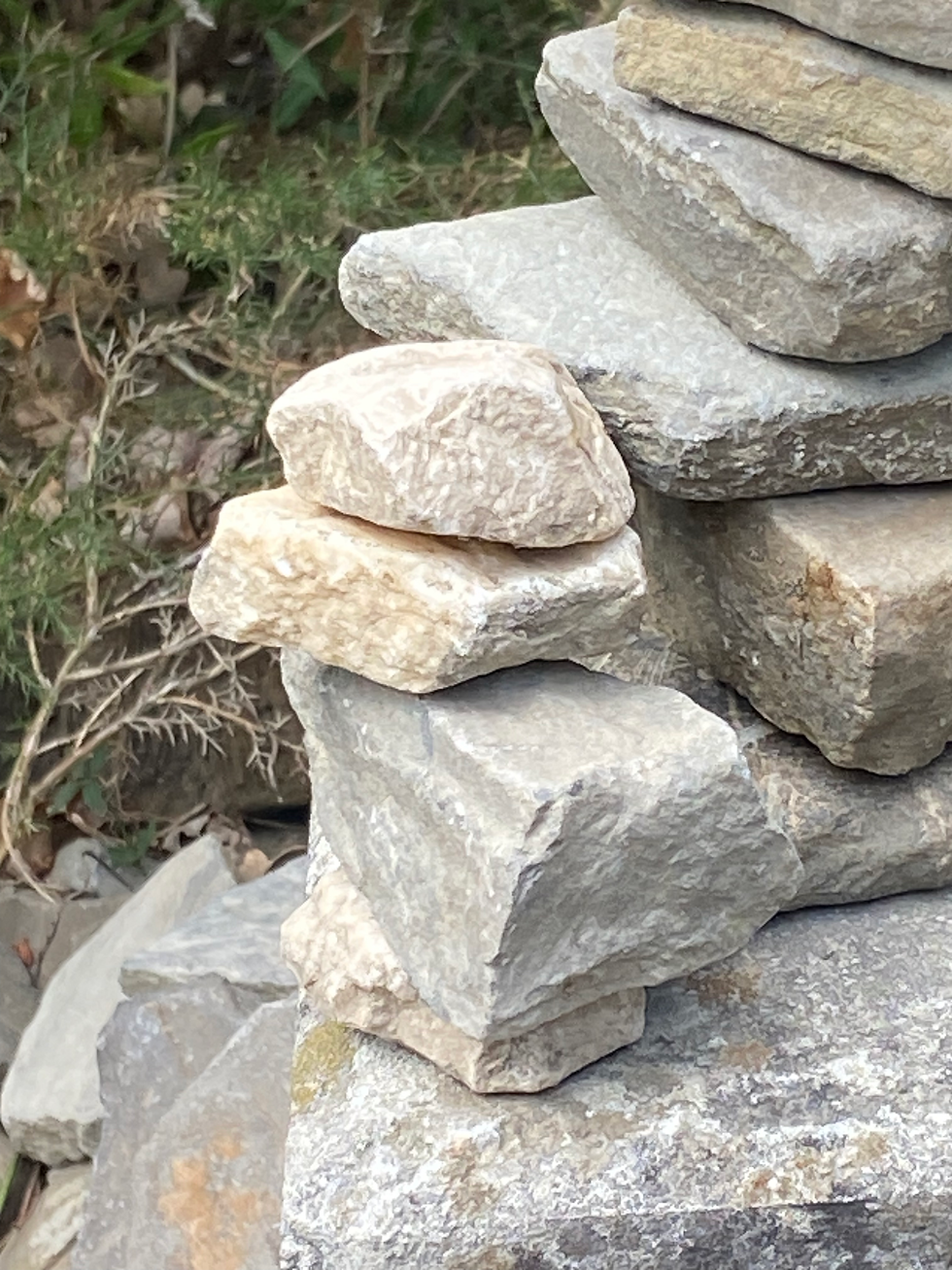 A Daily devotion for Friday, December 12