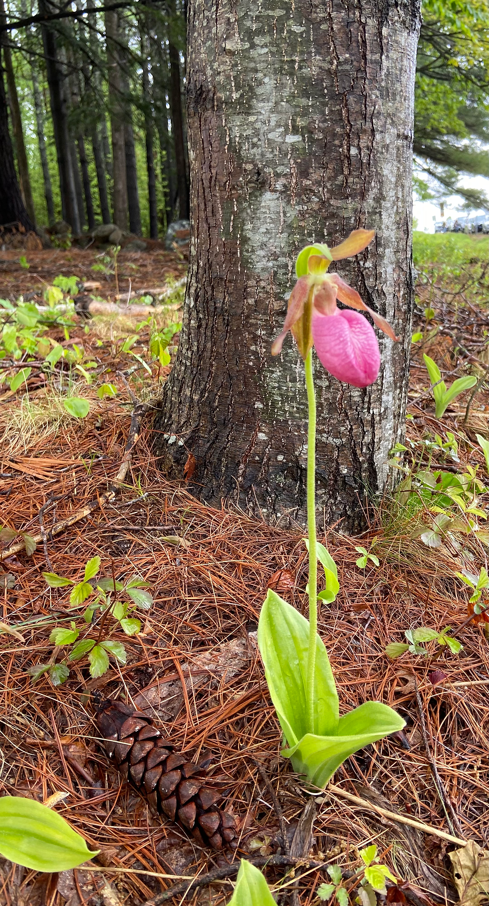 A Daily Devotion for Tuesday, January 20