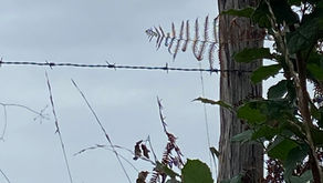 A Daily Devotion for Wednesday, Feb 11