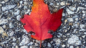 A Daily Devotion for Thursday, October 8